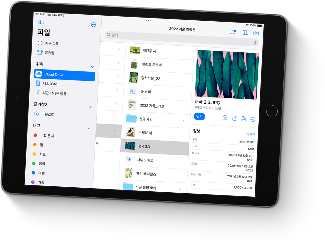 파일, 아이클라우드 선택 화면